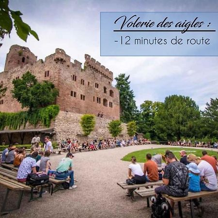 Appart 4 Pers Design Et Cosy Avec Jardin Au Coeur De Sélestat Zewnętrze zdjęcie